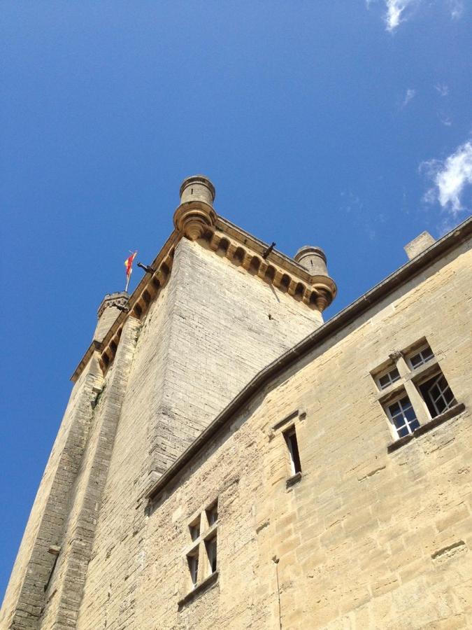 Uzes A Pied, Appartement Dans Cadre D'Exception Екстер'єр фото
